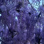 Casa Eda 別荘 ルッカ