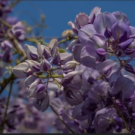 Casa Eda 度假居 *