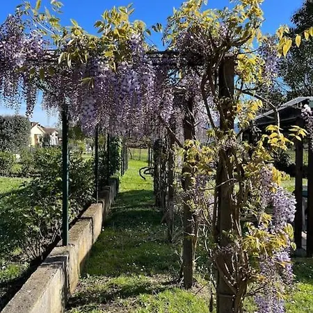 Casa Eda Lucca